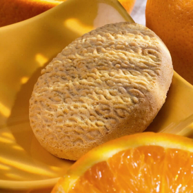 Biscoito rico em proteinas sabor Laranja - Palet saveur orange